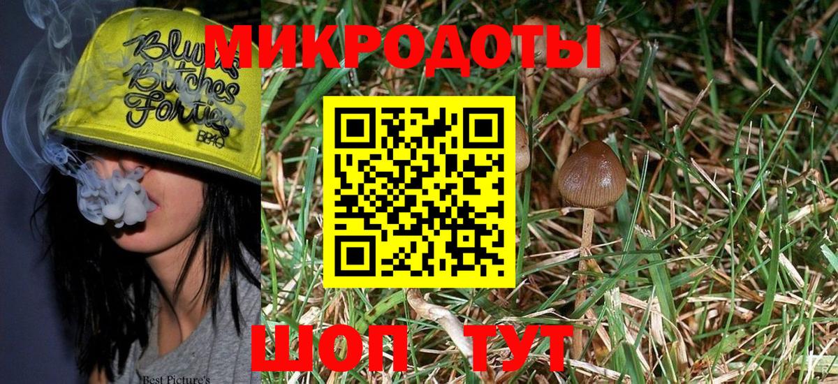 Псилоцибиновые грибы Psilocybine cubensis Ялта