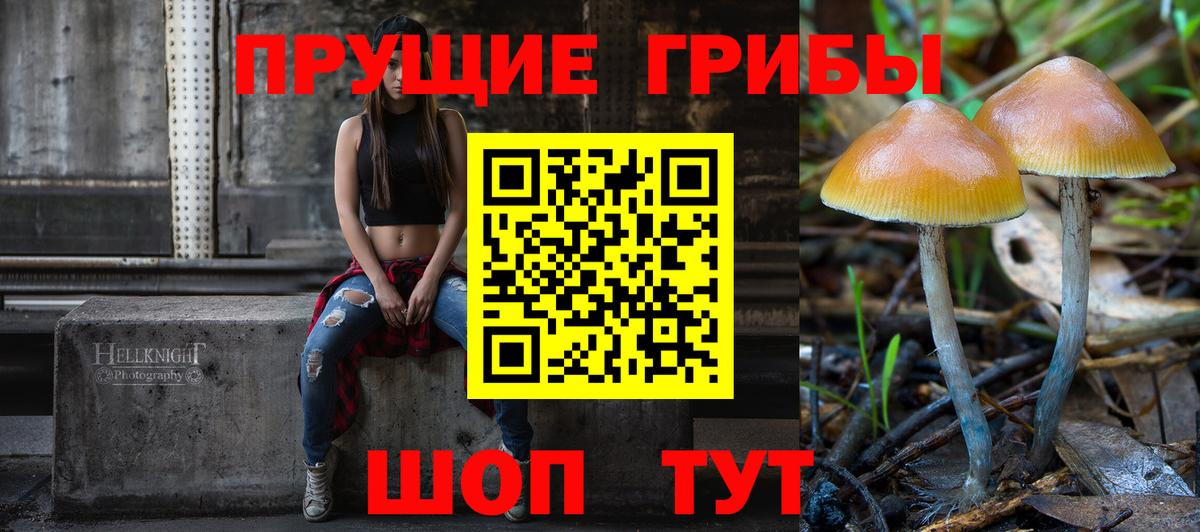 Ялта  Галлюциногенные грибы Psilocybe  Вход с VPN 
