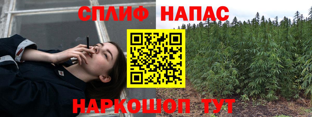 Канабис SATIVA & INDICA Ялта